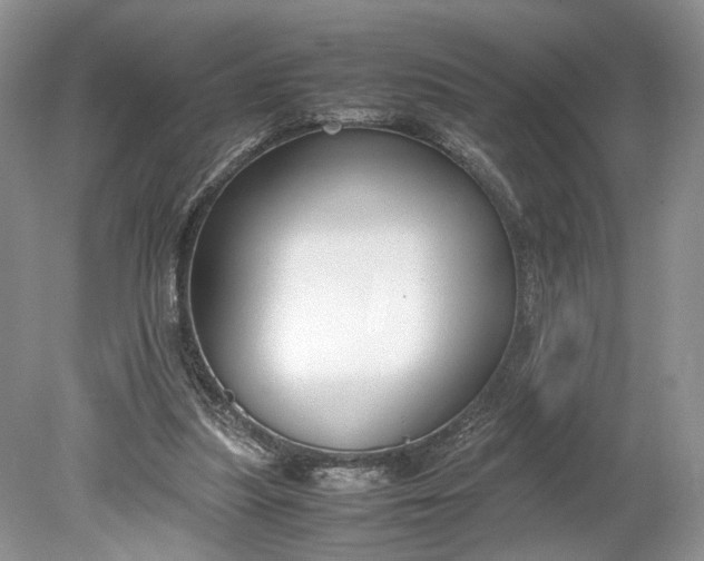 X0000078880251200611271334