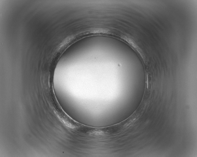 X0000078880253200611271334