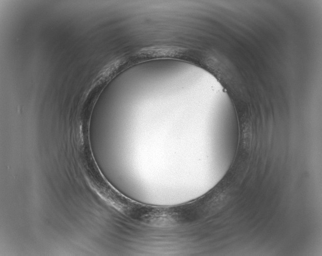X0000078880254200611271334