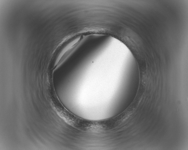 X0000078880256200611271334