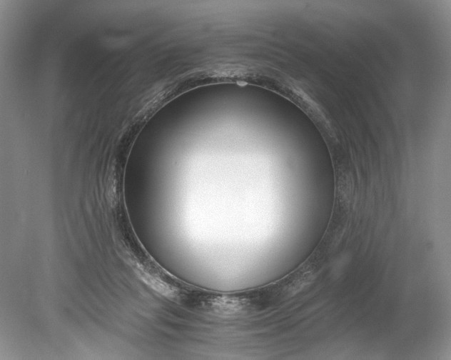 X0000078880261200611271334