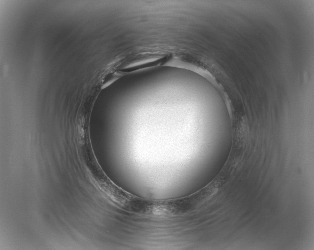 X0000078880264200611271334