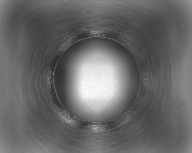 X0000078880275200611271334