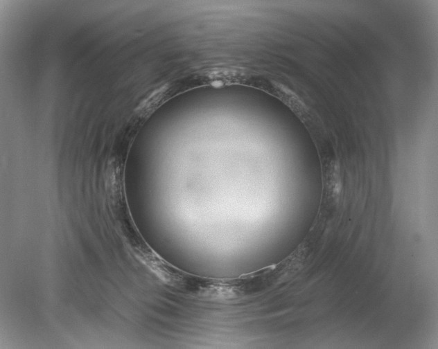 X0000078880276200611271335
