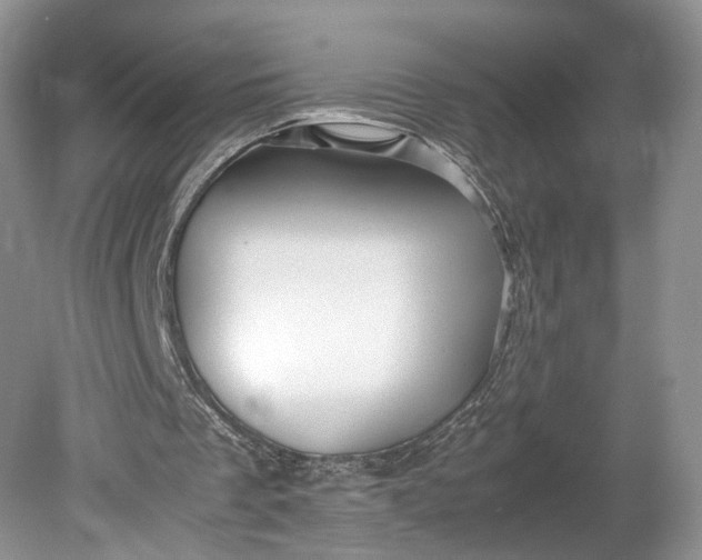 X0000078880289200611271334