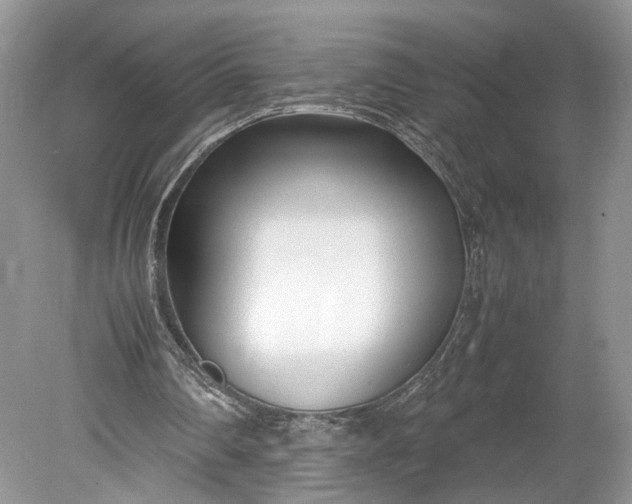 X0000078880290200611271334