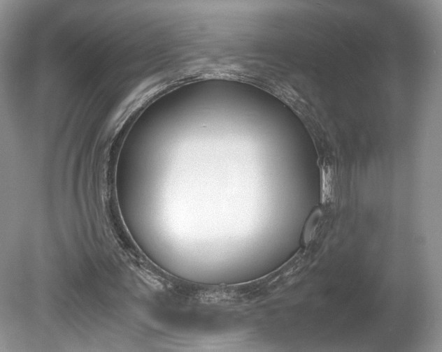 X0000078880291200611271334
