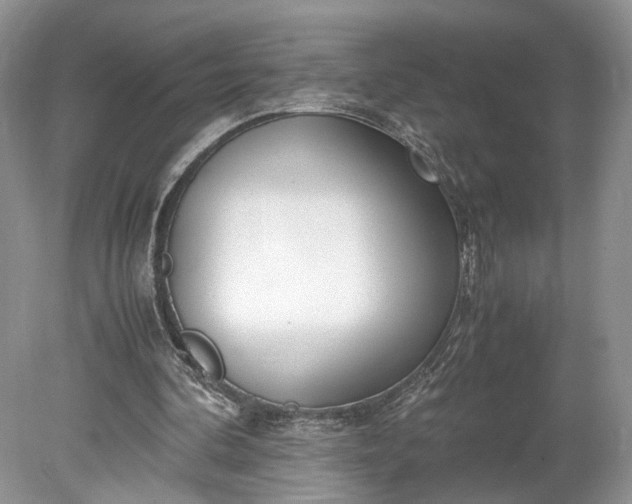 X0000078880292200611271334