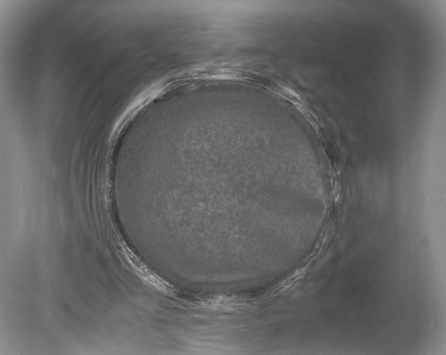 X0000078880293200611271334
