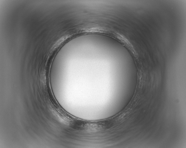 X0000078880298200611271334