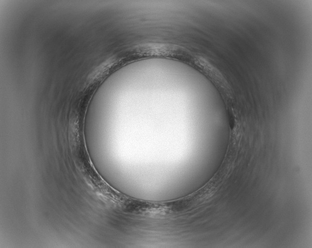X0000078880306200611271334