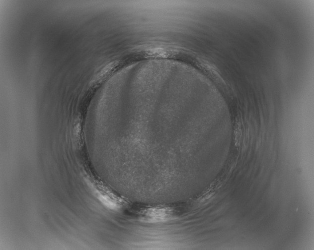 X0000078880314200611271333