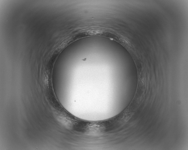 X0000078880315200611271333