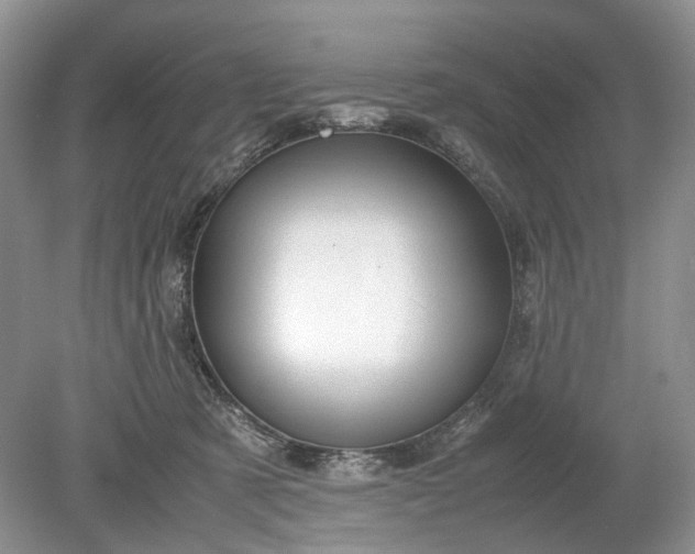 X0000078880321200611271333
