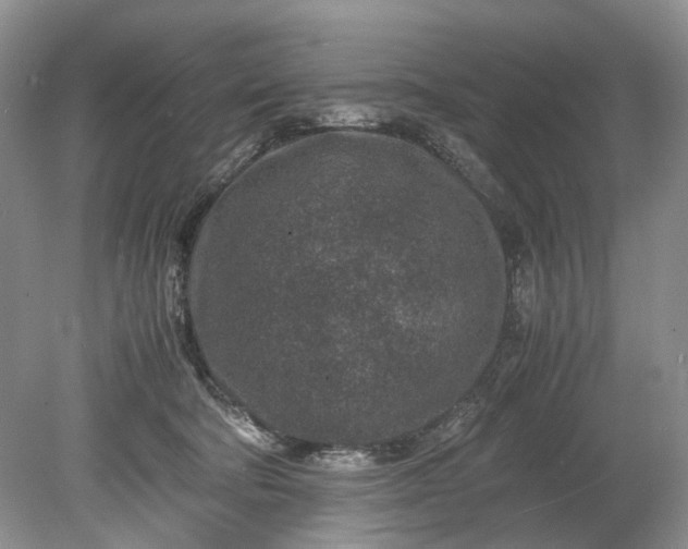 X0000078880322200611271333