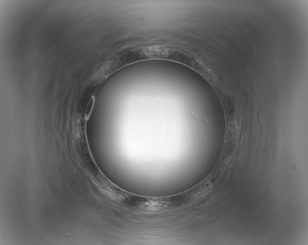 X0000078880323200611271333