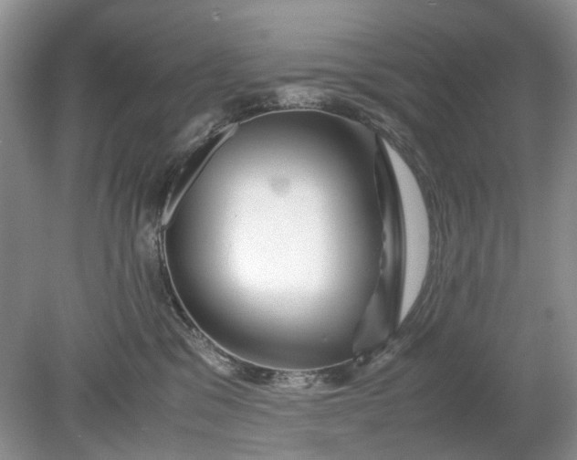 X0000078880329200611271333