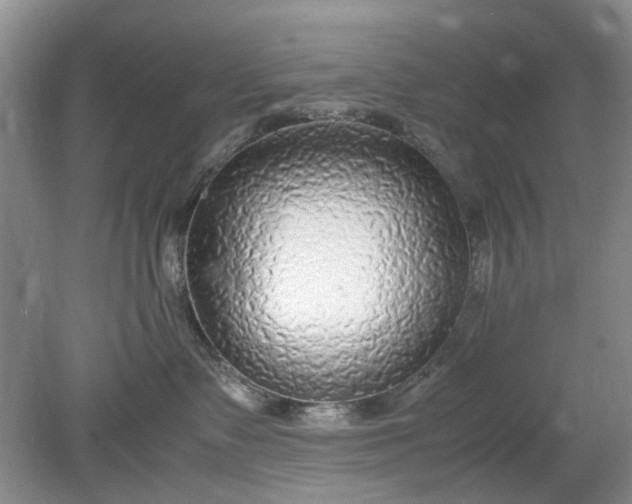 X0000078880335200611271333