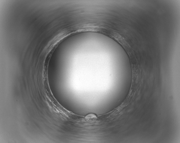 X0000078880338200611271332