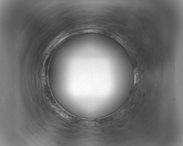 X0000078880339200611271332