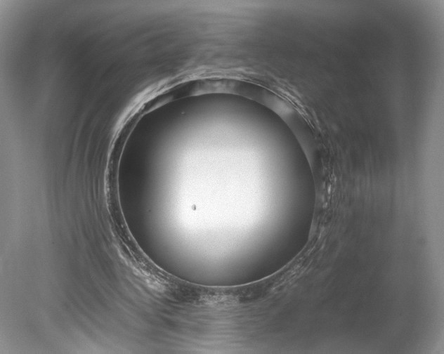 X0000078880340200611271332