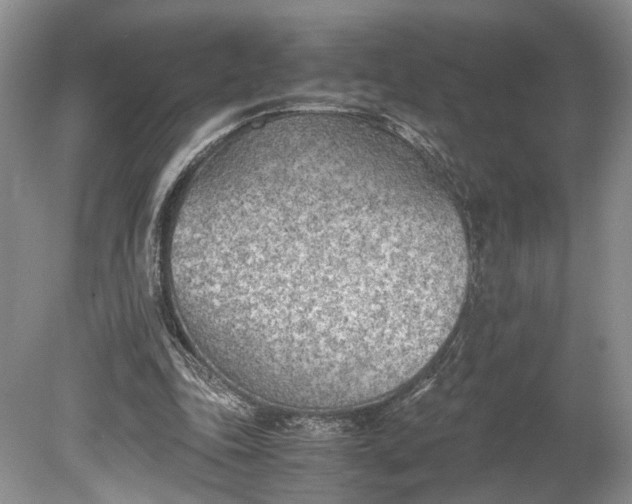 X0000078880343200611271332