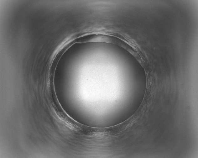X0000078880344200611271332