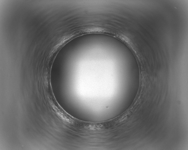 X0000078880345200611271332