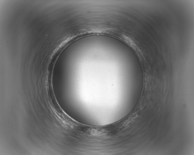 X0000078880346200611271332