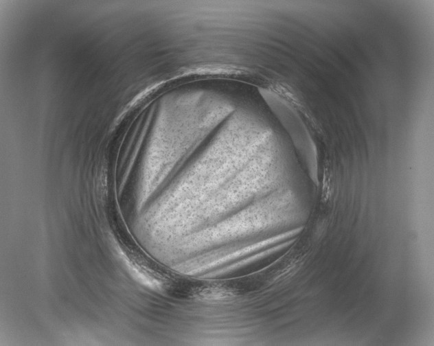 X0000078880348200611271332