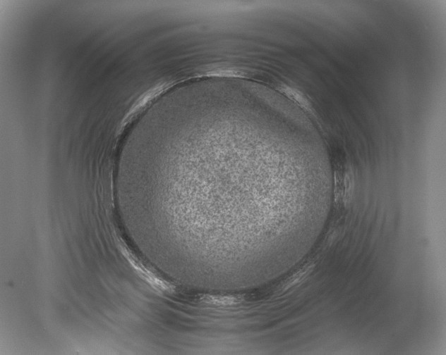 X0000078880349200611271333