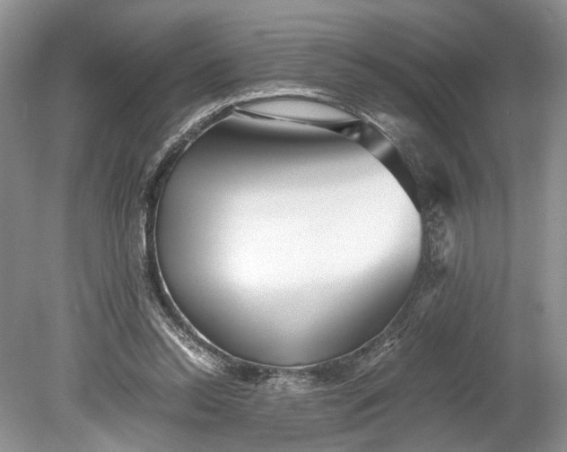 X0000078880350200611271333