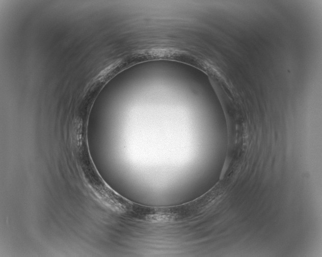 X0000078880356200611271333