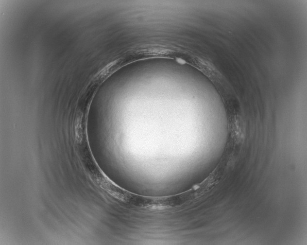 X0000078880360200611271333