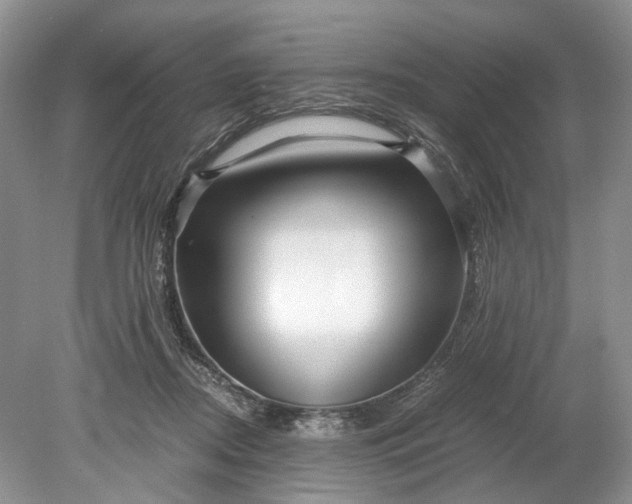 X0000078880362200611271333