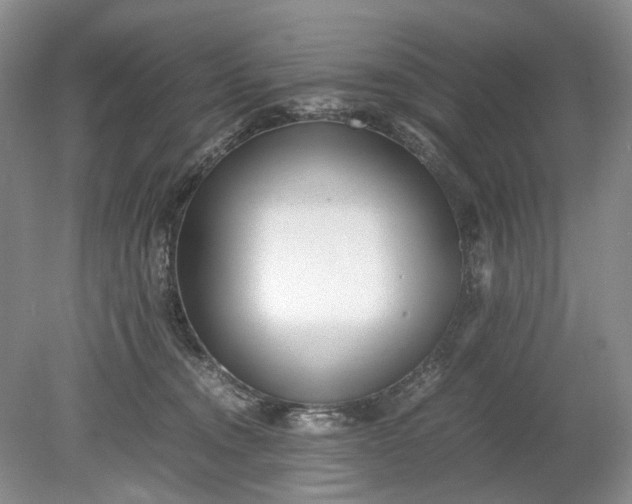X0000078880372200611271333