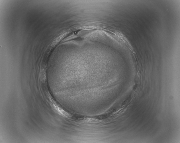 X0000078880393200611271332