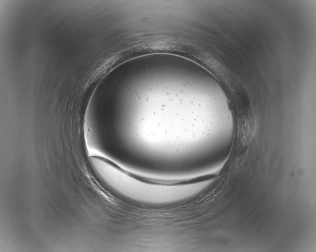 X0000078880397200611271332