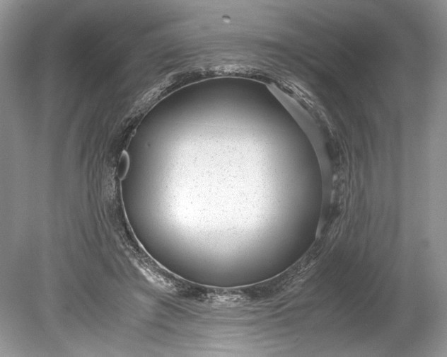 X0000078880401200611271332