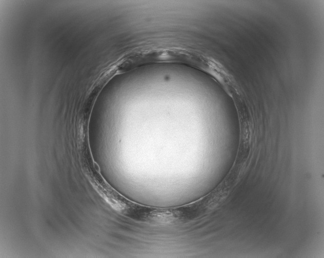 X0000078880405200611271332