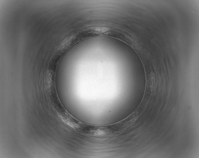 X0000078880412200611271332