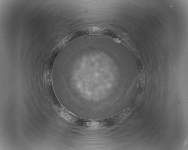 X0000078880419200611271332