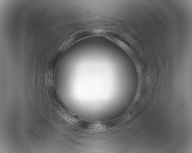 X0000078880421200611271332
