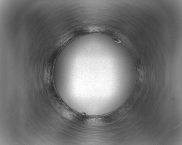 X0000078880422200611271332