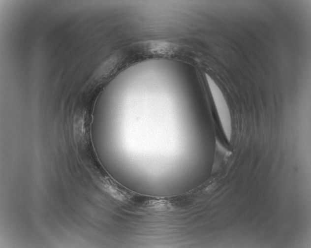 X0000078880424200611271332