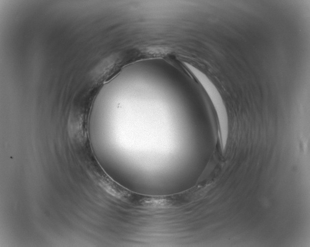 X0000078880428200611271332