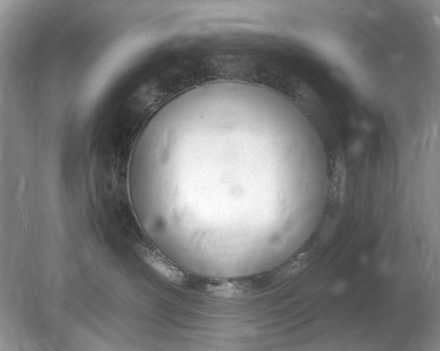 X0000078880430200611271332
