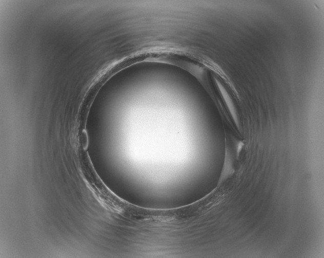 X0000078880436200611271331