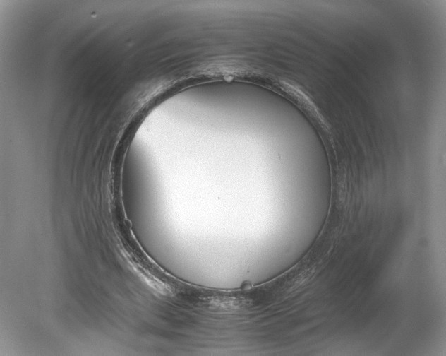 X0000078880439200611271331