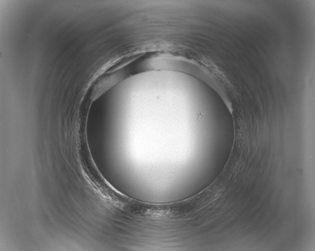X0000078880440200611271331